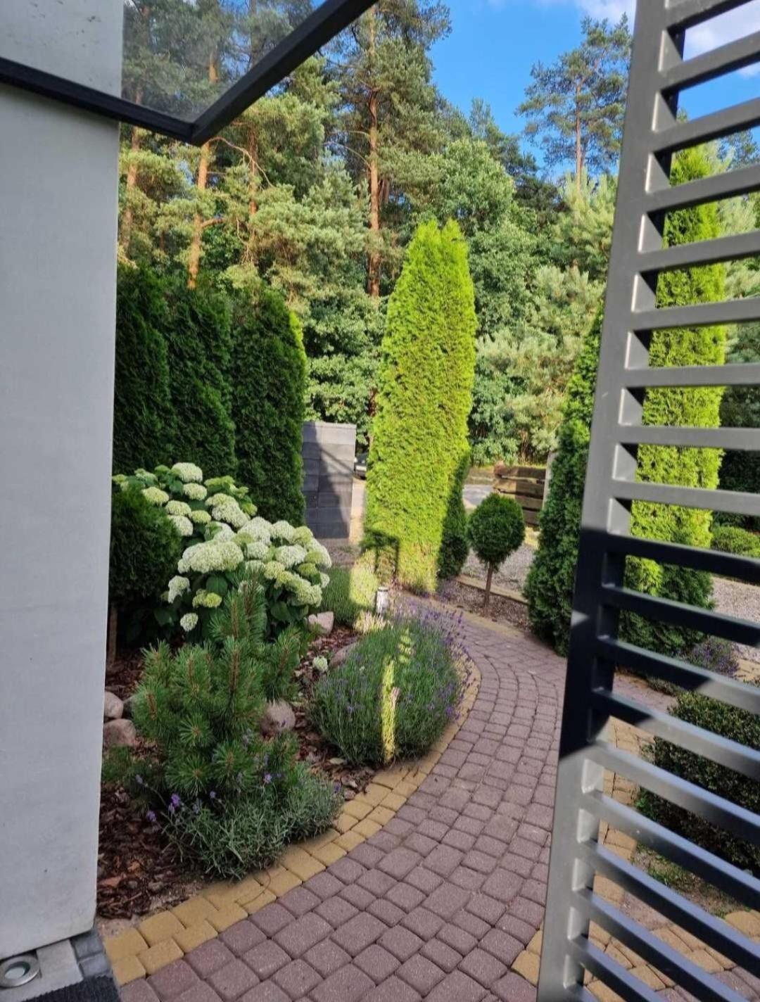 Apartamenty Pod Sosnami Ostroda Miedzylesie 6Os الغرفة الصورة